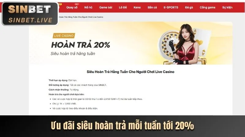 Hỗ trợ Live Chat 24/7